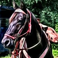 Jill Davenport Photo 13