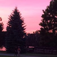 Anne Duggan Photo 21 Anne Duggan Photo 21