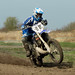 Mark Abrams Photo 12