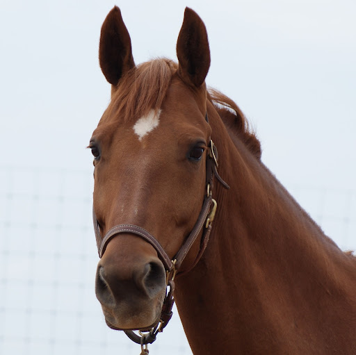 Heather Fleming Photo 22