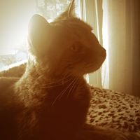 Cathleen Rose Photo 3