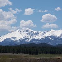 Paul Jarvis Photo 48