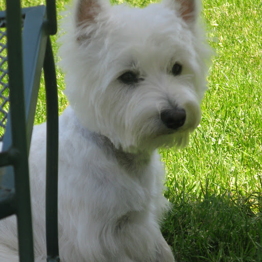 Donna Porter Photo 6