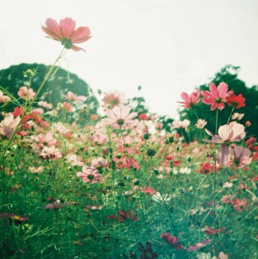 Leah Lindsey Photo 4