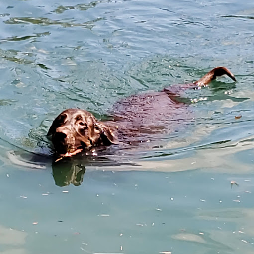 Oscar Gonzalez Photo 22