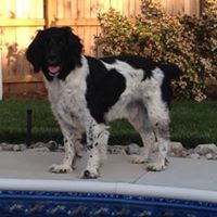 Michele Connor Photo 14