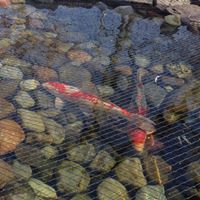 Theresa Sell Photo 7