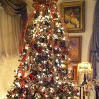 Cynthia Calhoun Photo 23 Cynthia Calhoun Photo 23