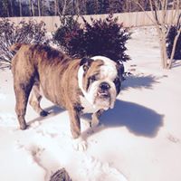 Dale Briggs Photo 10