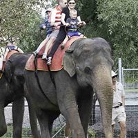 Hans Schaefer Photo 24 Hans Schaefer Photo 24