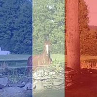 Brett Myers Photo 16