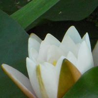 Judith Fischer Photo 14