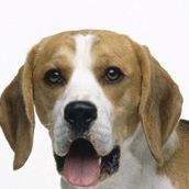 Jill Montgomery Photo 25