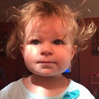 Bryan Hendrickson Photo 15