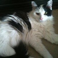 Tracey Jamison Photo 10