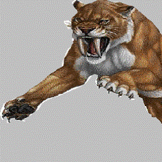 Charles Russo Photo 20 Charles Russo Photo 20