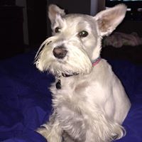 Stephanie Reeser Photo 3