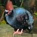Sharon Bird Photo 15