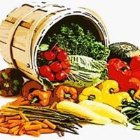 Terri Gulick Photo 7