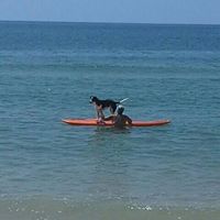 Rebecca Howland Photo 11 Rebecca Howland Photo 11