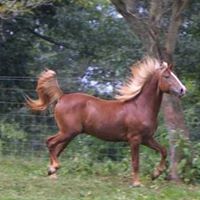 Jessie Harris Photo 10 Jessie Harris Photo 10