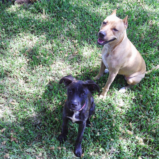 Juanita Roberts Photo 35