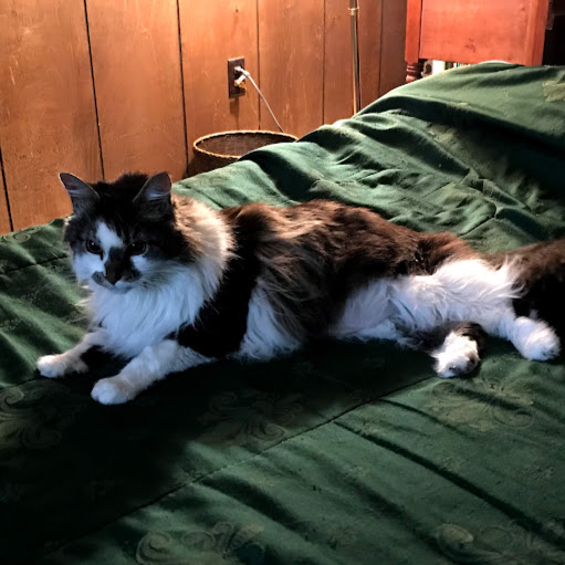 Walter Wells Photo 43 Walter Wells Photo 43