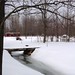 Steve Banach Photo 12