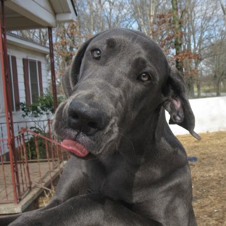 Christina Matthews Photo 13 Christina Matthews Photo 13