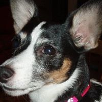 Cheryl Duke Photo 19