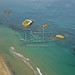 Michael Reef Photo 17