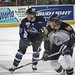 Terry Harrison Photo 41