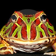 Kristy Cole Photo 13