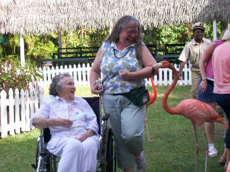 Lisa Newcomb Photo 25