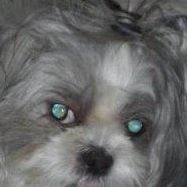 Nicholas Willis Photo 27 Nicholas Willis Photo 27