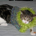 Laurie Burrow Photo 5