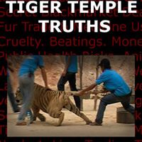 David Hargreaves Photo 19 David Hargreaves Photo 19