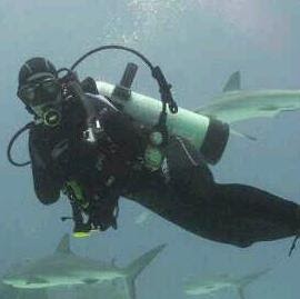 Stacey Tucker Photo 34