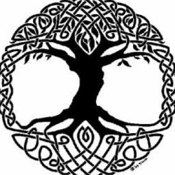 Michael Piatt Photo 12