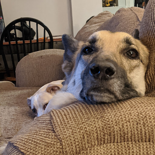 Kevin Mclaughlin Photo 12