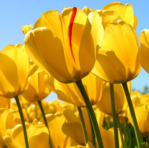 Jackie Hopkins Photo 22