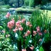 Alice Keck Photo 4