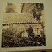 Perry Cook Photo 27