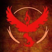 Allan Downing Photo 18