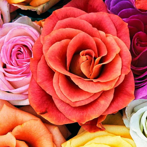 Samantha John Photo 36