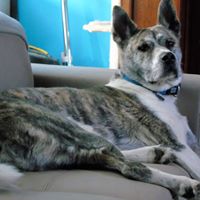 Jerome Lindsay Photo 24