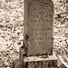 Amanda Marker Photo 28