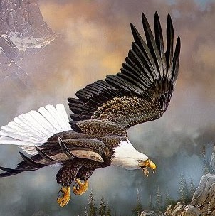 Pauline Sanchez Photo 2