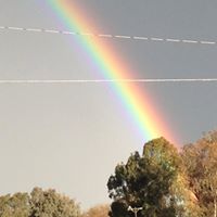 Marisela Perez Photo 3