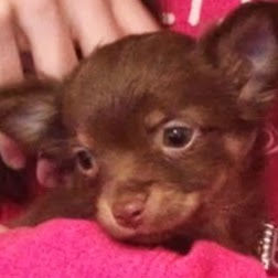 Megan Mckee Photo 17